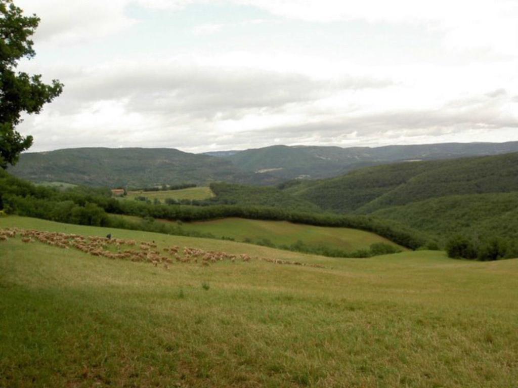 Вилла Gite L'Oustal Occitan A Saint-Juery Экстерьер фото